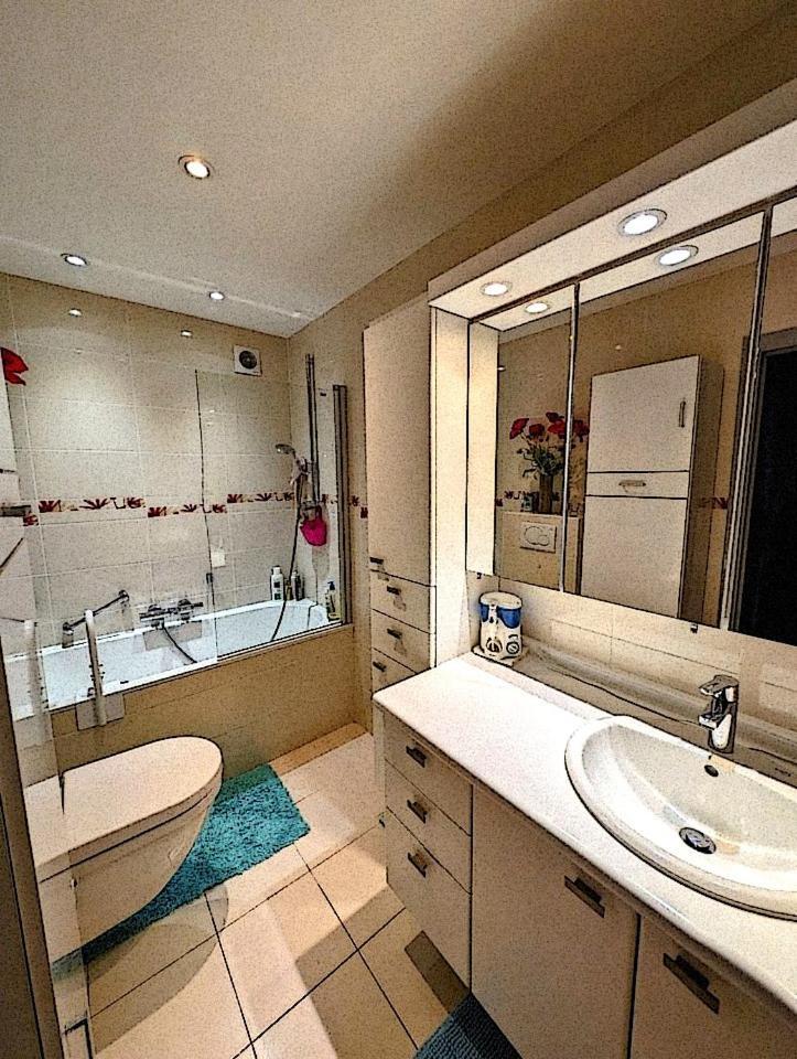 De 3 Et 2 Salles De Bain Appartement Antwerpen
